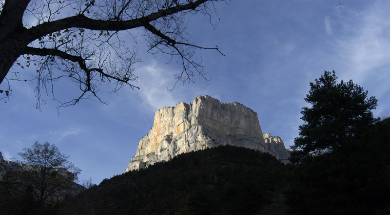 archiane01.jpg