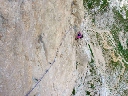 DSC01355.jpg